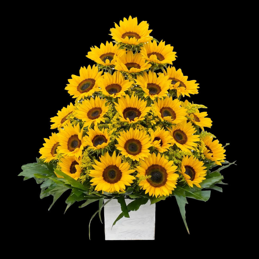 Impresionante arreglo de girasoles