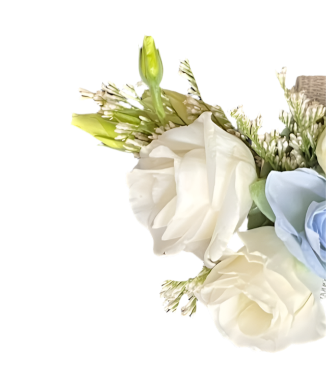 Pulsera Sueño Blanco