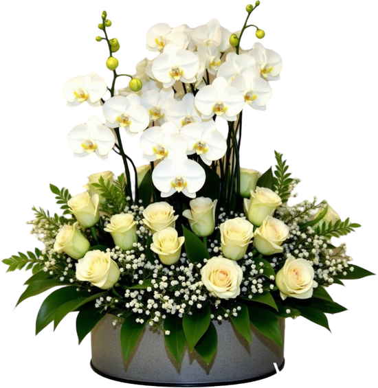 Porque se lo merece Orquids And Roses