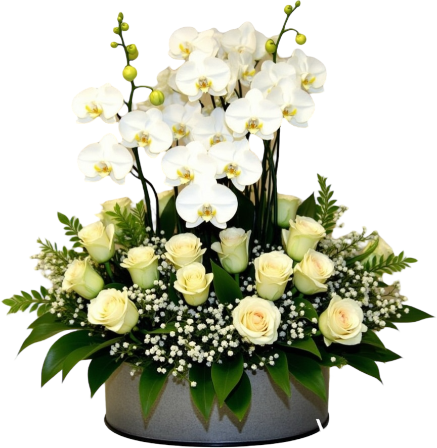 Porque se lo merece Orquids And Roses