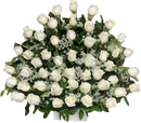 50 Rosas Blancas Miami - Arreglo Elegante Entrega Doral Hoy - Flores Frescas de BouquetsFlowers.com expresa distinción