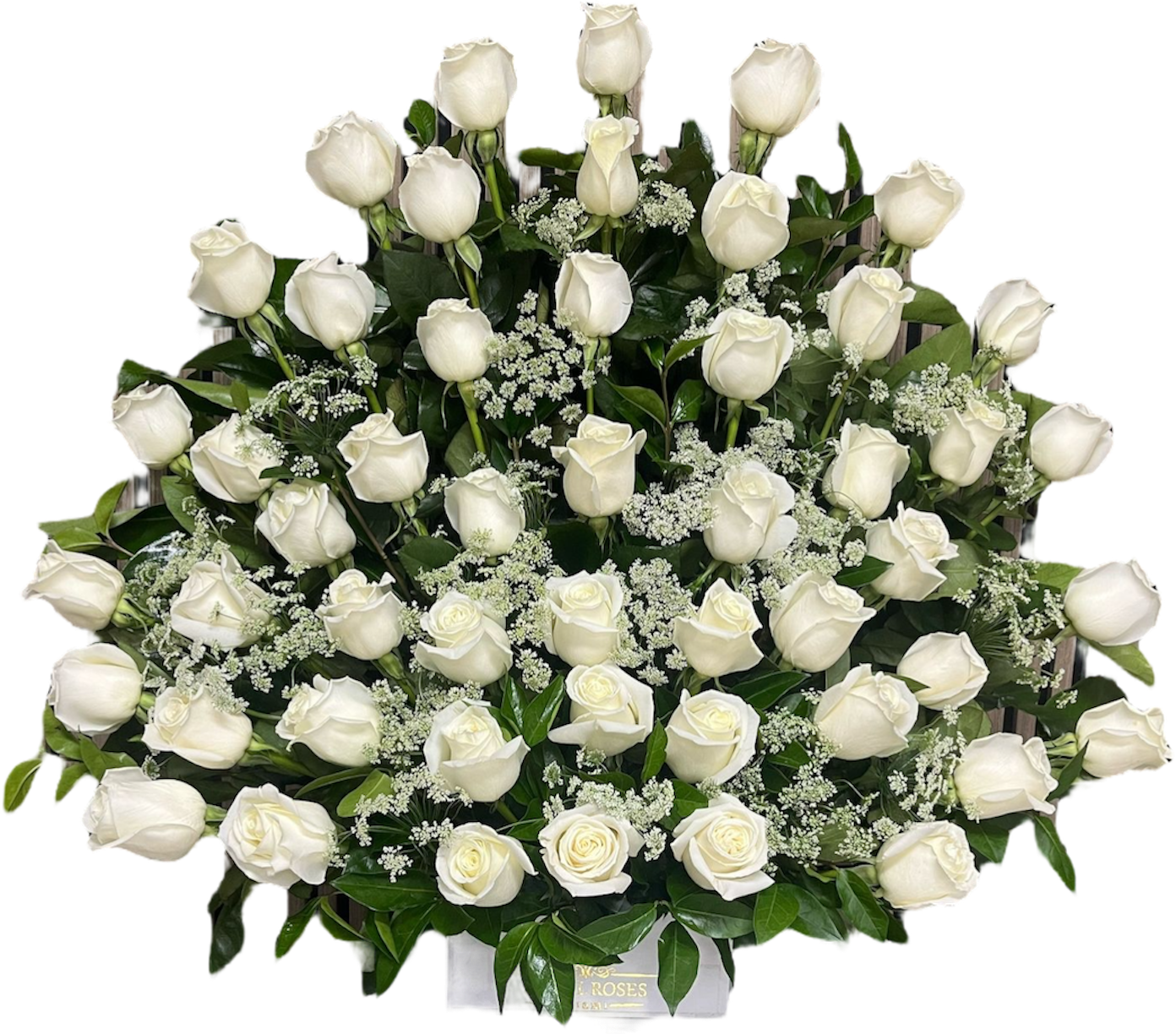 Belleza Deslumbrante – Arreglo de Rosas con Envío en Doral Florida