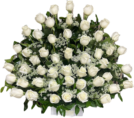 Belleza Deslumbrante – Arreglo de Rosas con Envío en Doral Florida
