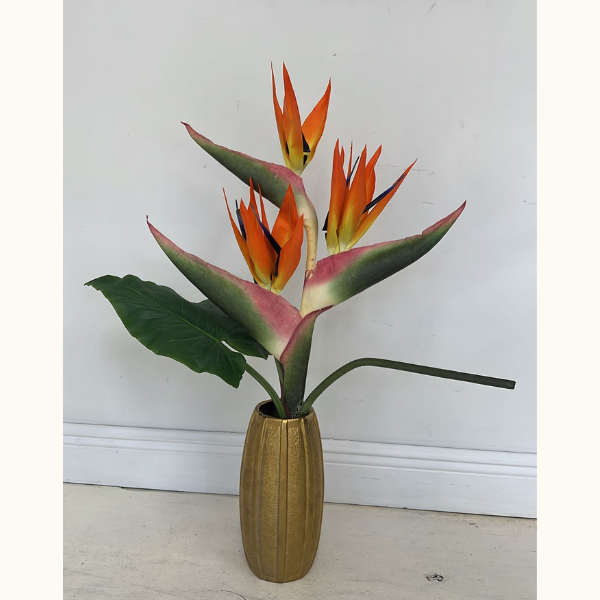 Bird of paradise, Your Bird Of Paradise Will Add A Striking Vertical Accent To Any Large, Open Space In Your Home, Bouquets Flowers in Coral Gables, Miami, Delivery Flowers, Florist in Coral Gables.