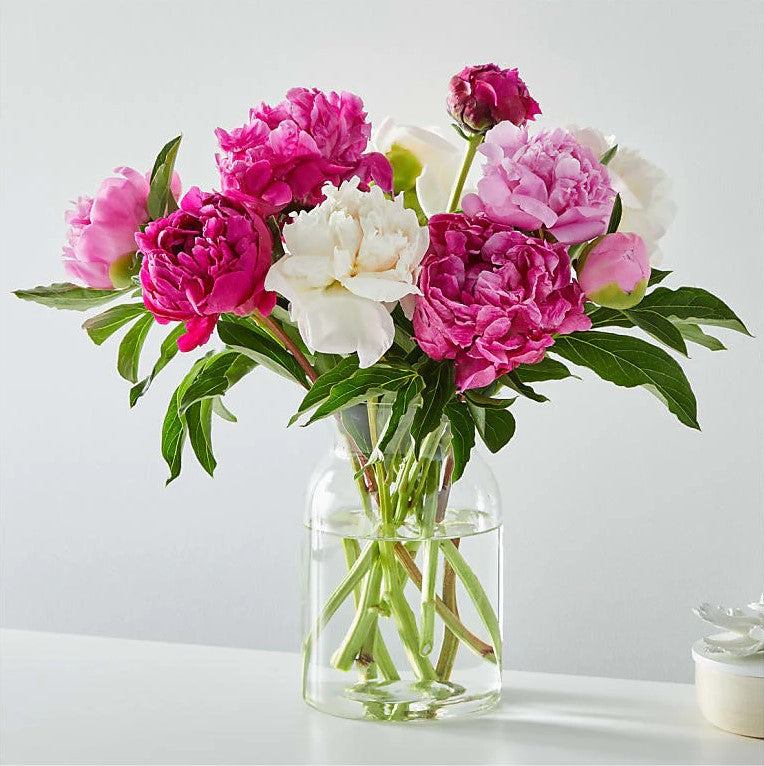 Bouquet Peony Deluxe With Vase, Send A Spring Favorite To Someone Special With Our Peony Bouquet. Assorted Pink Peonies Are One Of The Season's Most Beautiful Flowers, And They Will Come In Bud Form So You Can Watch Them Bloom, Special Rose Bouquets And Arrangements, Rose Delivery, Anniversary Flowers & Gifts, Romantic Flowers & Gifts, Mother´s Day, Valentine’s Day. Bouquets Flowers in Coral Gables, Miami, Delivery Flowers, Florist in Coral Gables.