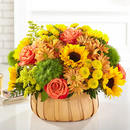 Sunflower Basket for Harvest, Special Flowers In Box, Flowers And Gift For Any Occasion. Standard