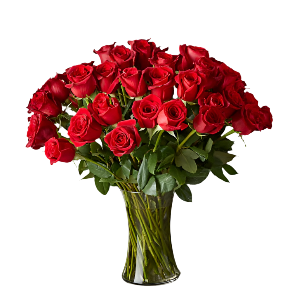 
                      
                        50 Long Stem Red Roses
                      
                    