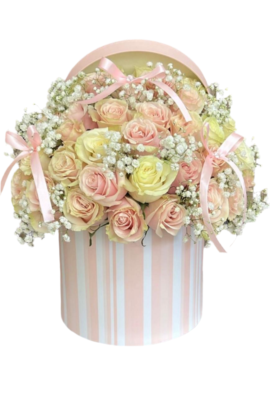 Rosas Rosadas Caja Miami - Lujo Premium Doral