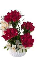 Rosas Verdadero Amor Miami - Arreglo Romantico Elegante