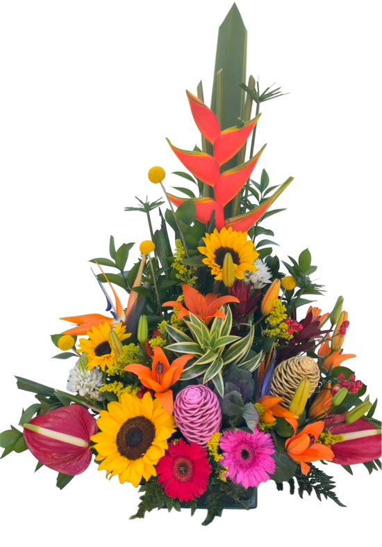 Flores Celebracion Miami - Arreglo Tropical Mixto Doral