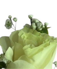 Roots of Success Boutonnière