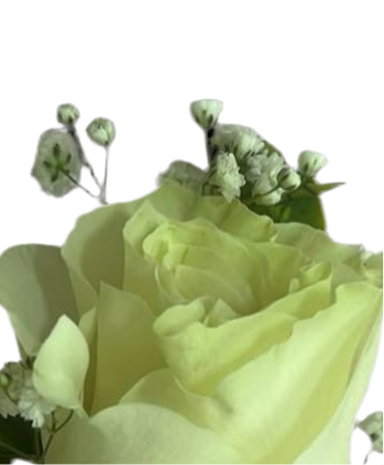 Raíces del éxito Boutonnière