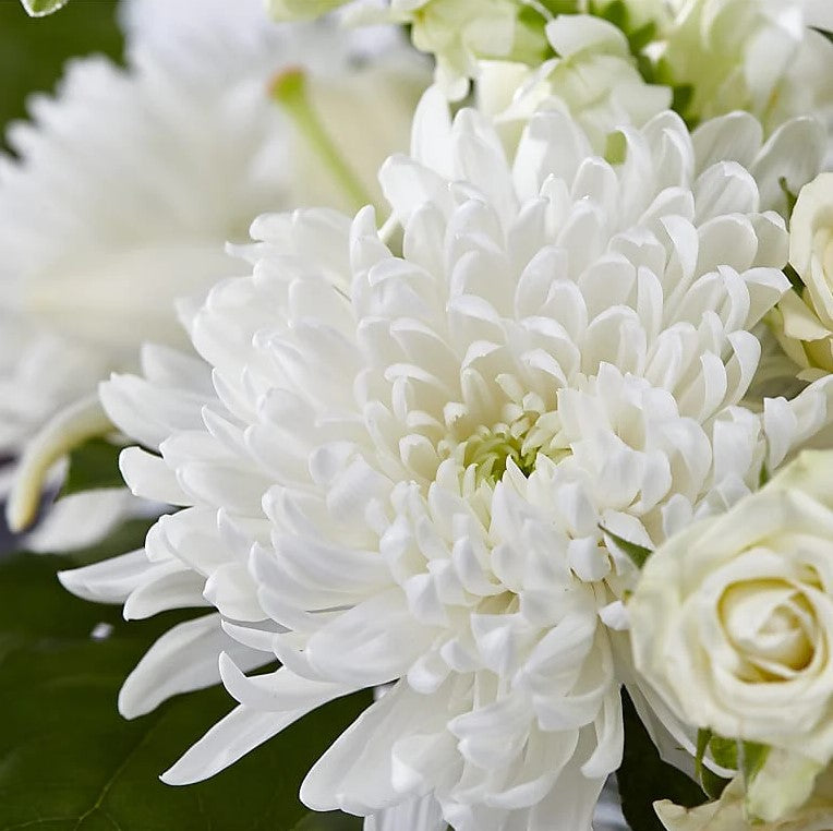 Classic White Flowers Bouquet And Vase, The Colors And Floral Kinds Utilized In This Bouquet Will Vary Depending On Availability And Freshness, Bouquets Flowers in Coral Gables, Miami, Delivery Flowers, Florist in Coral Gables.