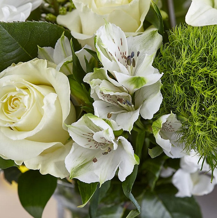 
                  
                    Classic White Flowers Bouquet And Vase, The Colors And Floral Kinds Utilized In This Bouquet Will Vary Depending On Availability And Freshness, Bouquets Flowers in Coral Gables, Miami, Delivery Flowers, Florist in Coral Gables.
                  
                
