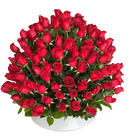 Descubre la elegancia de un arreglo de rosas premium en BouquetsFlowers.com. Entregamos hoy mismo en Doral y también en el resto de Miami con reserva anticipada.