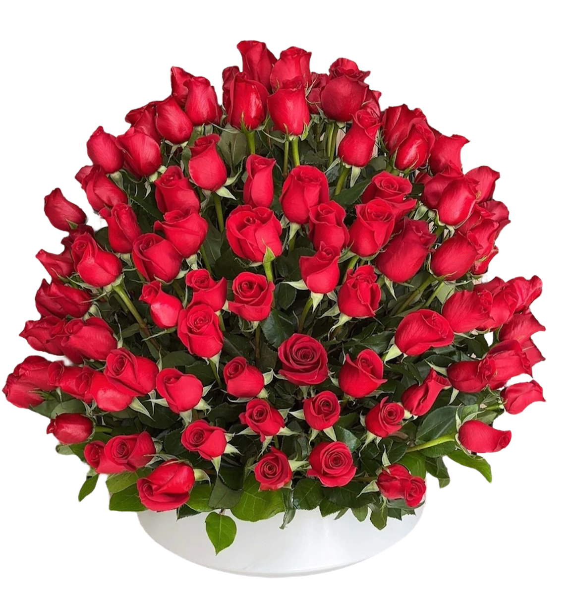 Descubre la elegancia de un arreglo de rosas premium en BouquetsFlowers.com. Entregamos hoy mismo en Doral y también en el resto de Miami con reserva anticipada.