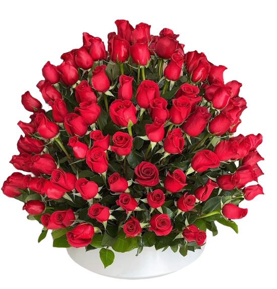 100 Rosas Rojas Miami - Amor Eterno Premium Doral San Valentín