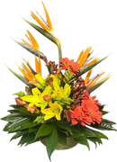 En nuestra florería en Doral FL puedes comprar gerberas frescas con entrega el mismo día. Si haces tu pedido para Doral, llega hoy mismo; y para otras zonas de Miami también entregamos con previa programación