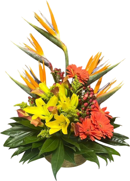 Arreglo Tropical Exótico en Doral Miami | Ramos De Flores