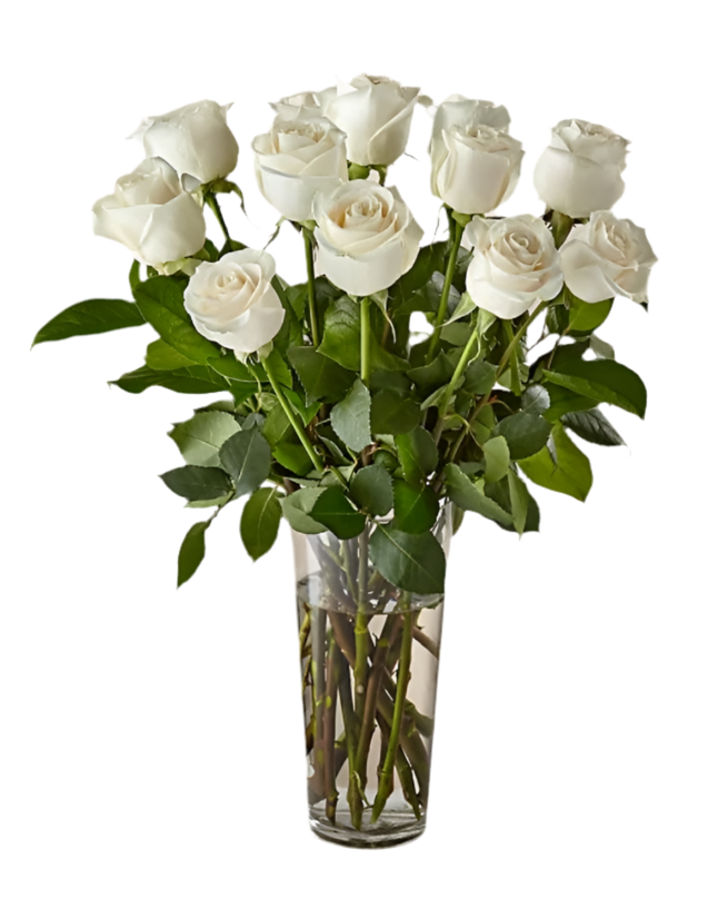 Descubre la elegancia de un ramo de rosas premium en BouquetsFlowers.com. Entregamos hoy mismo en Doral y también en el resto de Miami con reserva anticipada.