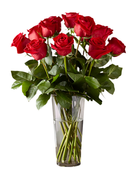 12 Rosas Tallo Largo Miami - Jarrón Cristal Premium