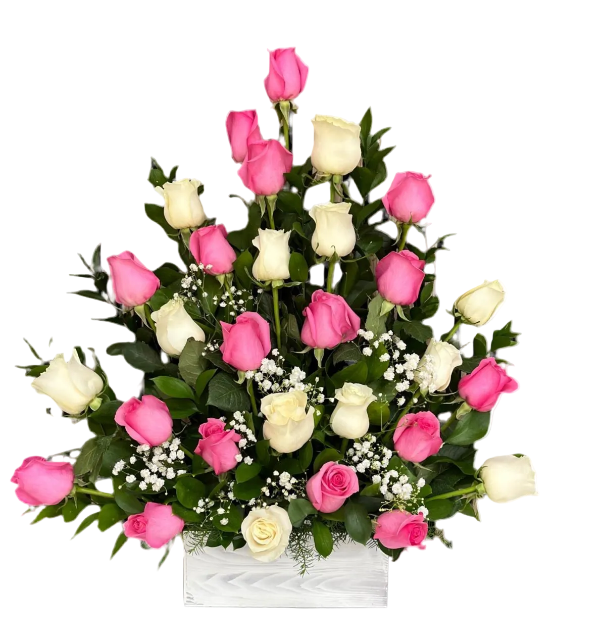 24 Rosas Mixtas Miami - Arreglo Clásico Doral