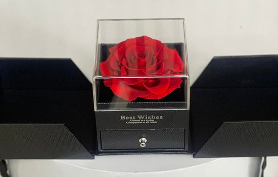 Rosa Preservada Exquisita Miami - Elegancia Mujer Doral