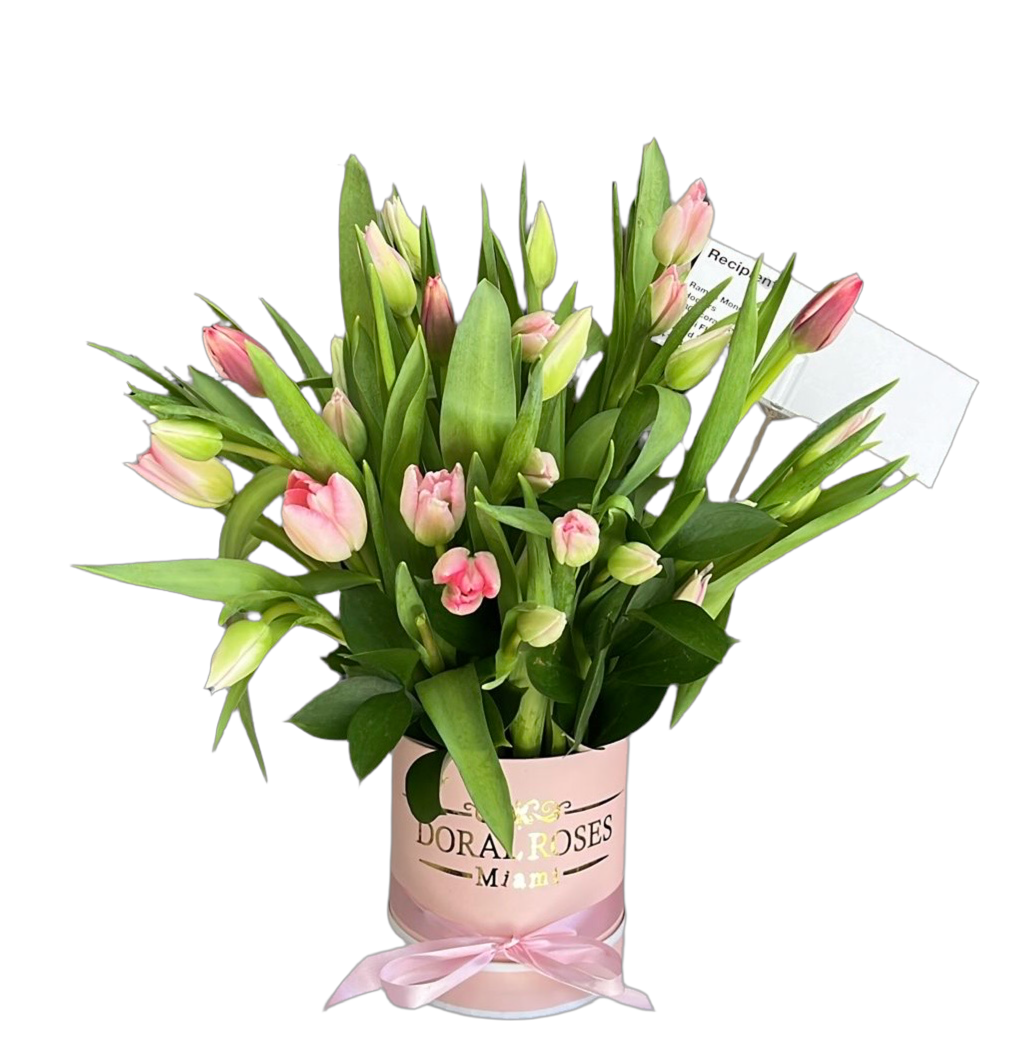 Tulipanes Caja Miami - Flores Elegantes Regalo Doral