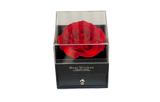 Rosa Preservada Exquisita Miami - Elegancia Mujer Doral