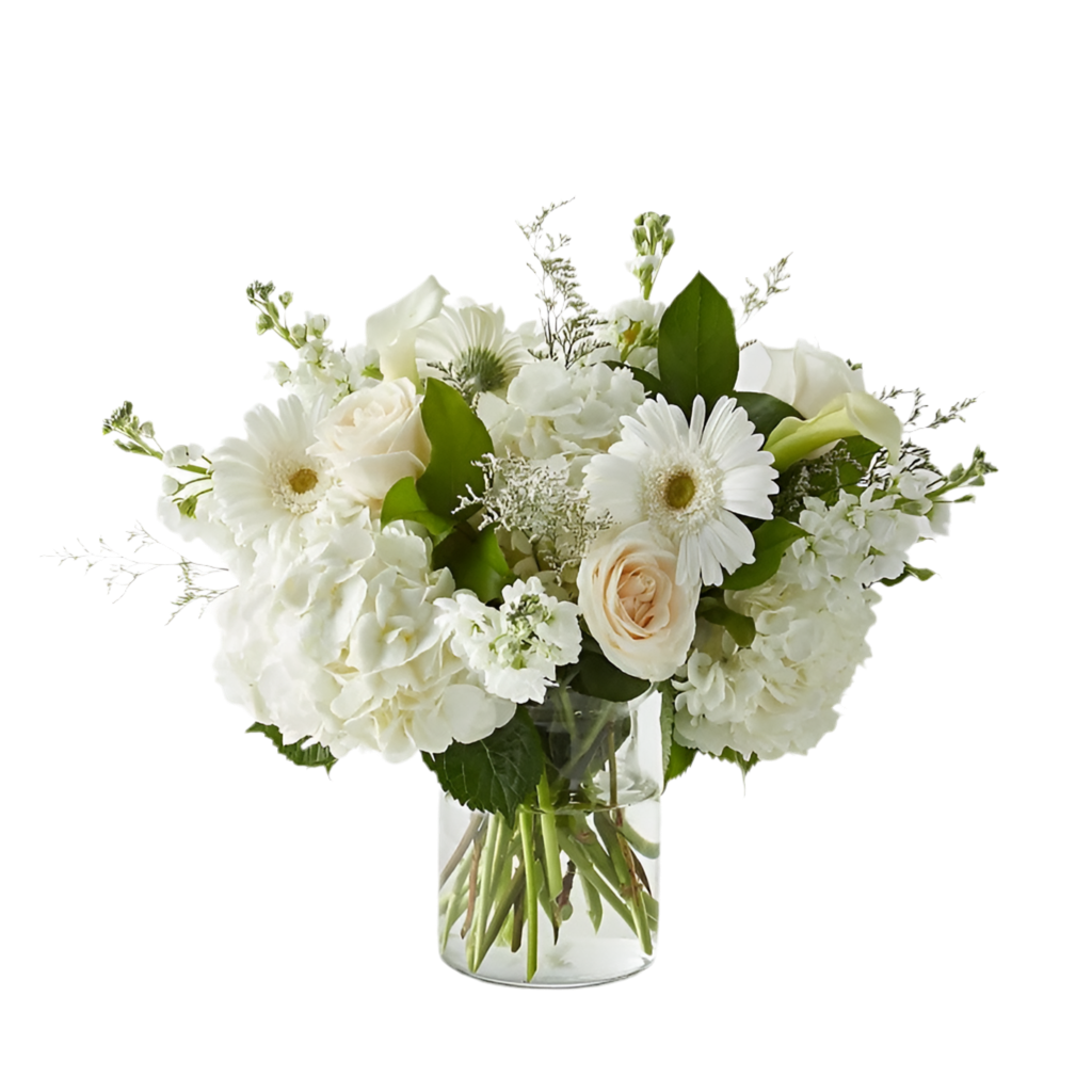 Hortensias De Rosas Blancas