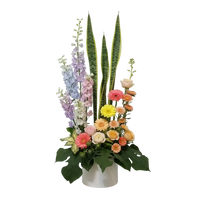 Bright gerbera daisy bouquet in vibrant colors for congratulations and celebration gift