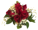 Haz que tu noche de graduación sea inolvidable* Bouquet de rosas rojas para prom en Miami. ¡Pide ahora en BouquetsFlowers.com !