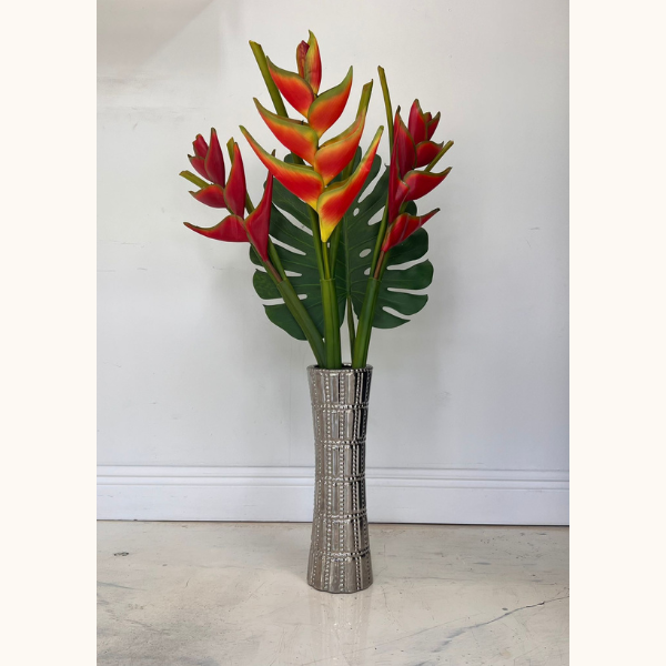 Heliconia, This plant Is Native To Central And South America And Are Unique In Its Kind, Add A Touch Of Beauty In The Living Room, Reception Or Office With This Beautiful Flower Plant, Bouquets Flowers in Coral Gables, Miami, Delivery Flowers, Florist in Coral Gables.