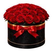 Caja de Rosas Rojas de Lujo en Cilindro Negro | Arreglo Floral Elegante para San Valentín