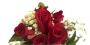 Bouquet de rosas rojas para prom en Miami. ¡Descubre más en BouquetsFlowers.com !