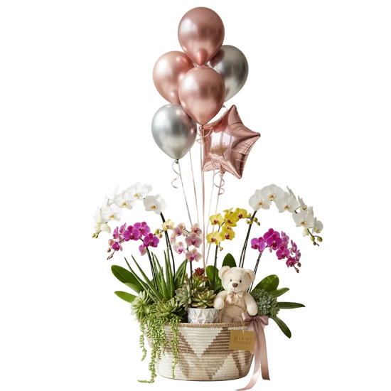 Shop plants and gift baskets for delivery in Miami and Doral, perfect for any occasion alongside our luxury flower arrangements
