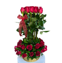 Rosas rojas vibrantes