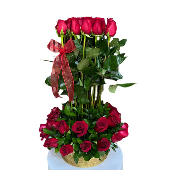 Rosas rojas vibrantes