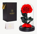Rosa Preservada Lujo Miami - Single Elegante Doral