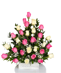 Rosas Bicolor Felices – Bouquet Exclusivo con Entrega en Doral Florida