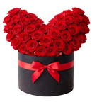 Rosas rojas alas de ángel