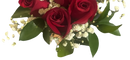 Bouquet de prom perfecto para Miami. ¡Descubre más en BouquetsFlowers.com !