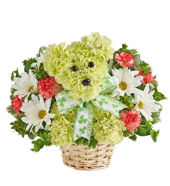 Entrega de flores y regalos para el Día de San Patricio