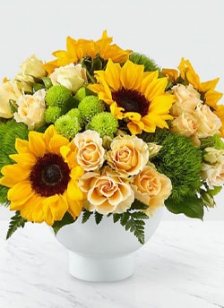 Bouquet Flowers Coral Gables, delivery, flowers and gifts. Roses and sunflowers