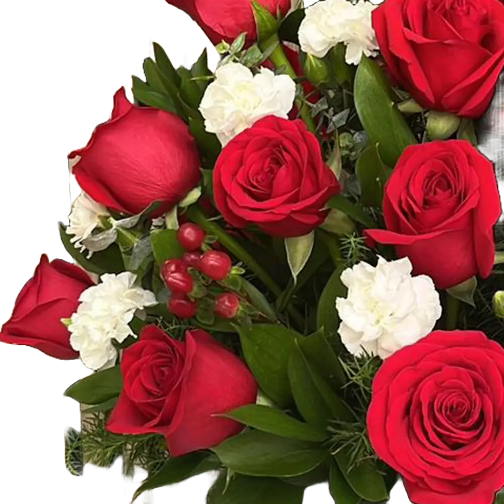 This image describes the detail of our arrangement with roses and carnations in a luxury box “Celebrating Christmas” comes with a Christmas bow. Bouquets Flowers. Miami florist