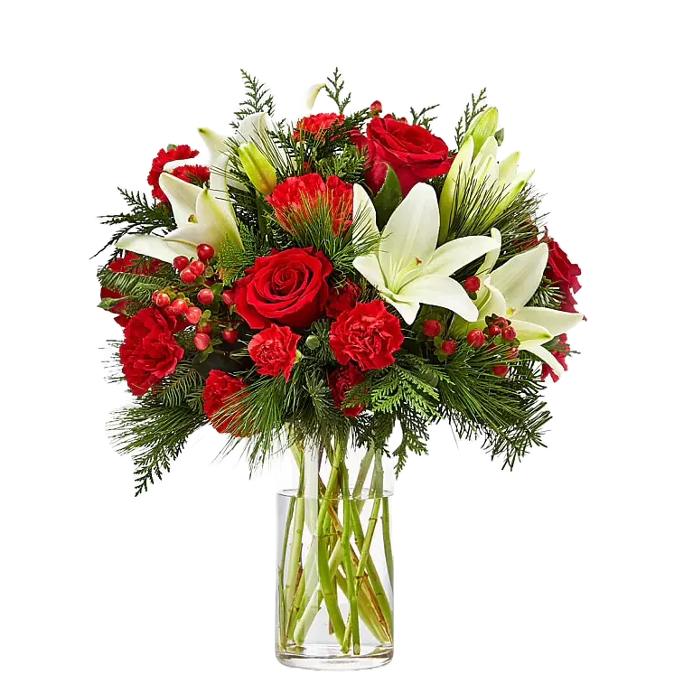 With this image, we present our beautiful “Christmas Blessings Bouquet, we design it with four presentations: standard, medium, luxury and exquisite, we elaborate it with roses and carnations of red color, white lilies and green accompaniment in a standard glass vase, we make home deliveries in the cities of Miami and Bogota. We are florists. Bouquets Flowers