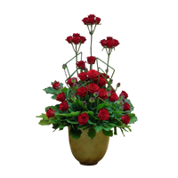 Congratulations Images With Roses Gif