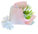 flores porque me acordé de ti
