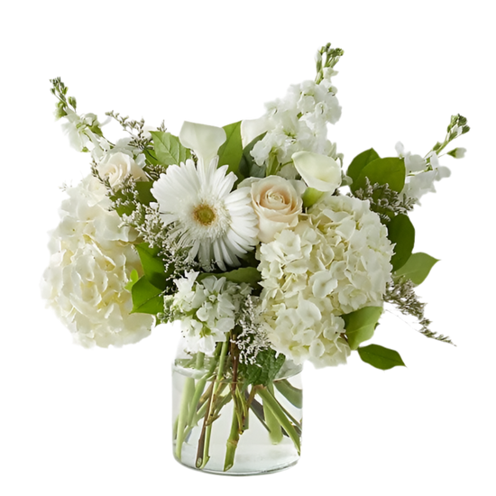 Hortensias De Rosas Blancas