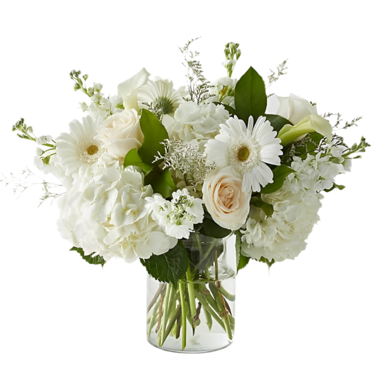 Hortensias De Rosas Blancas